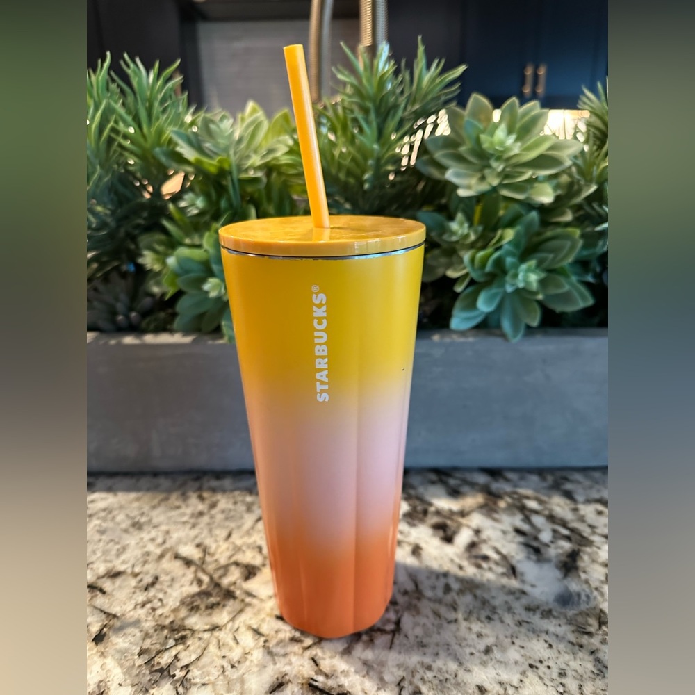 Drink Tumbler with Straw